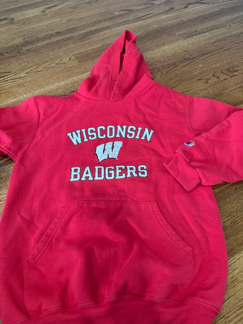 Champion Red Wisconsin Badgers Hoodie with White Lettering